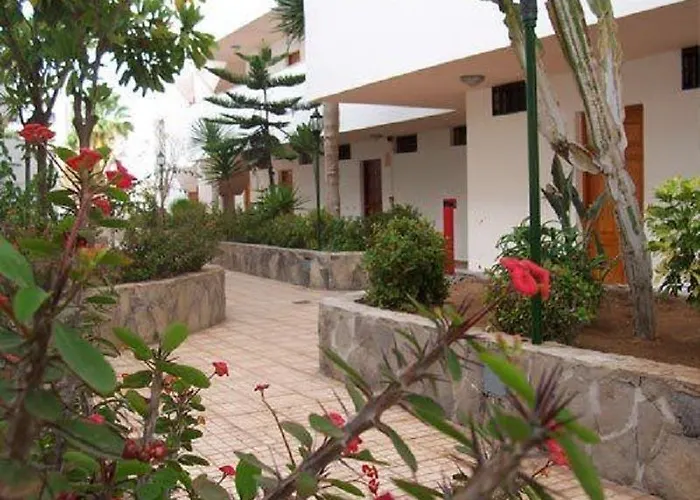 Novacattleya * 플라야데라스아메리카스