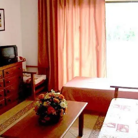 Novacattleya * Playa de las Américas